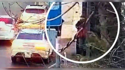 Три девушки разгромили автобусную остановку в Шымкенте (ВИДЕО)