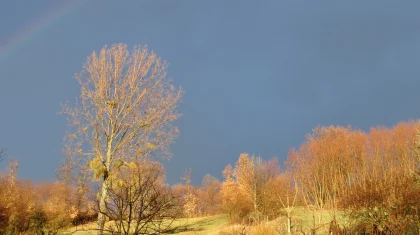 Прогноз погоды в Казахстане на 4 апреля представили синоптики