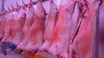 Казахстан впервые экспортировал халал-продукцию в Саудовскую Аравию