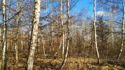 Какая погода ожидается в Казахстане 6 апреля, рассказали синоптики