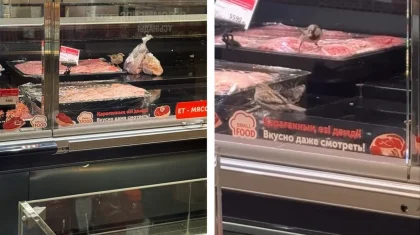 Воробьи налетели на мясо в витрине: снятое в Small видео обеспокоило астанчан