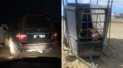 В степи Актюбинской области задержали мужчин, пытавшихся похитить кобылу с жеребенком (ВИДЕО)