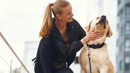 Новый закон о животных: ответственность владельцев ужесточат в Казахстане