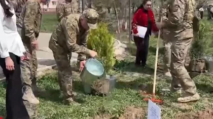 «Таза Қазақстан»: в Гвардейском гарнизоне высадят 500 деревьев