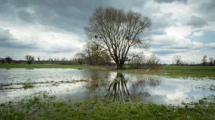 Дожди и туман: штормовое предупреждение объявили по всему Казахстану на 9 апреля