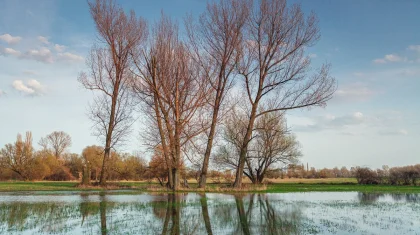 Прогноз погоды в Казахстане на 9 апреля