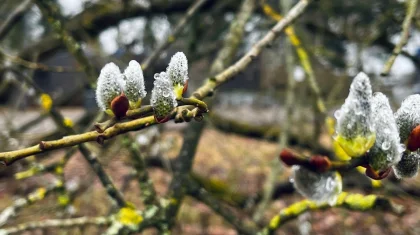 Дождливая и прохладная погода ожидается в Казахстане 10 апреля