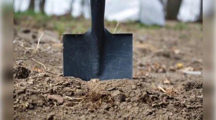 Нанес около 40 ударов: мужчина жестоко избил соседку в области Жетысу