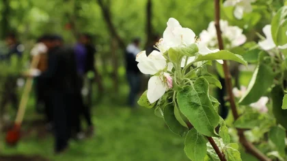 Крайне важно сформировать в обществе культуру чистоты и бережного отношения к природе – Токаев