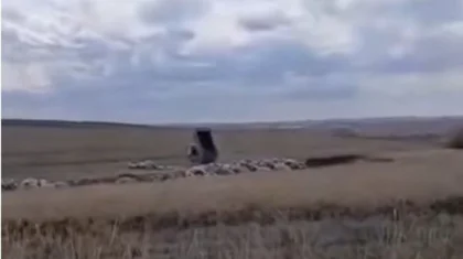 Водителя грузовика, вывалившего несколько машин мусора в степи, наказали в Актюбинской области (ВИДЕО)