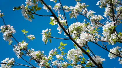 Прогноз погоды на 11 апреля: в 14 городах Казахстана осадков не ожидается