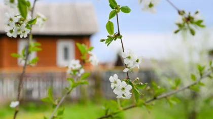 Осадков не ожидается: прогноз погоды в Казахстане на 13 апреля