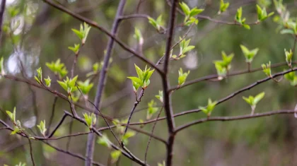 Грозы и туман: штормовое предупреждение объявили в Казахстане на 14 апреля