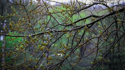 Дождь со снегом и грозы: штормовое предупреждение объявили в Казахстане на 15 апреля