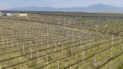 Экс-главу Фонда финподдержки сельского хозяйства подозревают в хищении больше 700 млн тенге