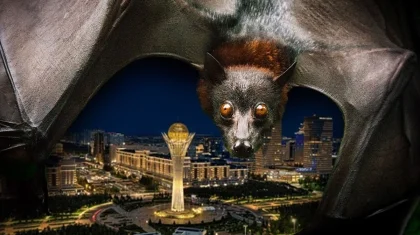 Летучие мыши в квартирах казахстанцев: насколько они опасны и почему проникают в наши дома