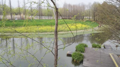 До +28 и дожди с грозами: какой будет погода в Казахстане в выходные