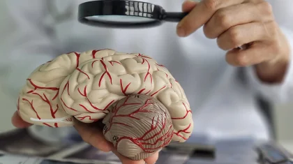 Смертность от болезней системы кровообращения снизилась на 16,3% в Казахстане