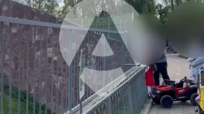 Мужчина бросал камни в вольер со львами в зоопарке Алматы (ВИДЕО)