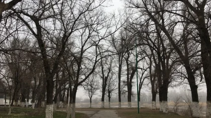 Заморозки и ветер: штормовое предупреждение объявили в Казахстане на 18 апреля