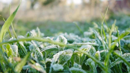 Гроза и заморозки: где в Казахстане на 19 апреля объявили штормовое предупреждение