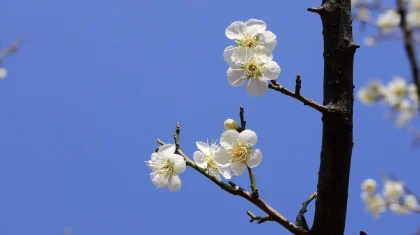 Прогноз погоды в Казахстане на 19 апреля