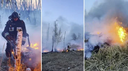 Спасатели МЧС отстояли лес от огня в Северо-Казахстанской области
