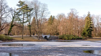 Заморозки и туман: штормовое предупреждение объявили в Казахстане на 20 апреля
