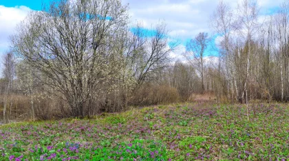 Осадков не ожидается: прогноз погоды в Казахстане на 20 апреля