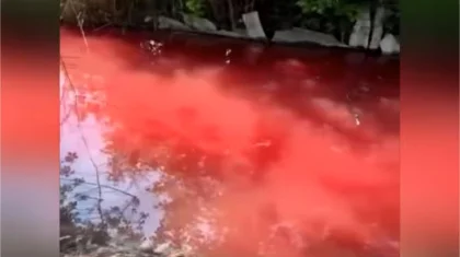 Красная вода в канале напугала жителей Тараза