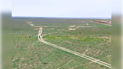 Видео с верблюдом среди мусора в степи: в акимате объяснили ситуацию