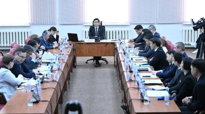 Депутаты Мажилиса обсудили проблемы лечения нарко-, алко- и лудозависимостей на выездном заседании