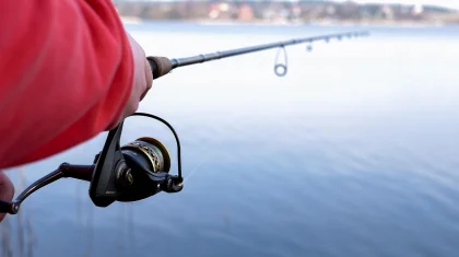 10 человек осудили за незаконный оборот осетровых в Атырауской области