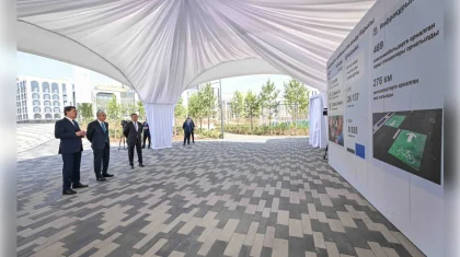 Миллион деревьев для Астаны: Токаев заслушал планы по озеленению столицы