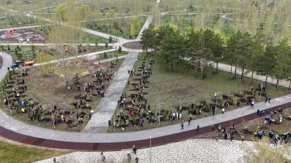 Более 100 тысяч костанайцев приняли участие в республиканской экоакции «Таза Қазақстан»