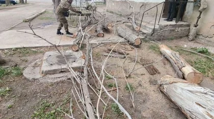 Срывал кровли и валил деревья: ураганный ветер обрушился на Карагандинскую область