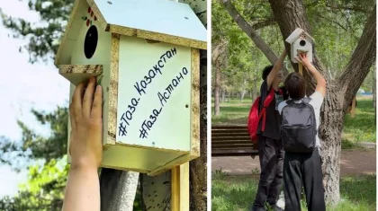 «Таза Қазақстан»: скворечники для птиц установили в парке «Жетысу» в Астане