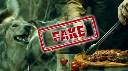 Мясо собак подают в заведениях Астаны? В акимате ответили на распространяемую информацию