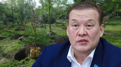 Легализуют гибель до 70% саженцев: мажилисмен потребовал ужесточить контроль за озеленением