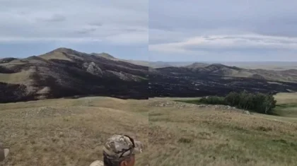 Огонь угрожал лесному фонду: крупный степной пожар потушили в Акмолинской области (ВИДЕО)