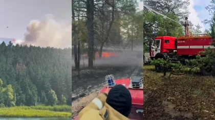 Сразу 14 лесных пожаров за день зафиксировано в «Семей орманы» (ВИДЕО)
