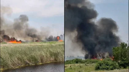 Пожар угрожал «Семей орманы»: распространение огня предотвратили в области Абай (ВИДЕО)