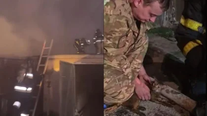 20 кошек и собаку спасли из горящего дома в Караганде (ВИДЕО)
