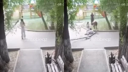 Ветка дерева упала на девушку в Уштобе: начата проверка (ВИДЕО)