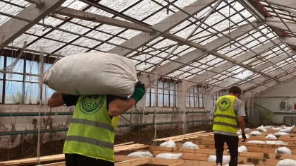 Agro Eco Hub: в Костанайской области появится демонстрационная теплица со 100 видами растений