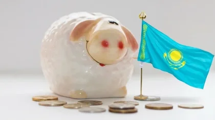 Отслеживать средства Нацфонда до каждого получателя предложили в ВАП