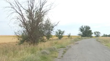 Погибли пятеро детей из одной семьи в ДТП в Туркестанской области