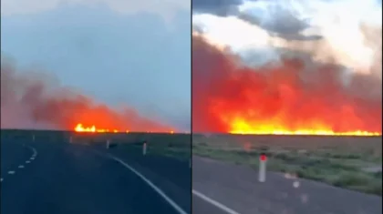 Горят камыш и сухая трава: крупный степной пожар тушат в области Абай (ВИДЕО)