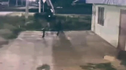 Парень угнал жеребца и попытался скрыться верхом в Уральске (ВИДЕО)