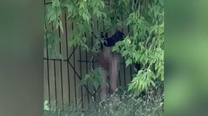 Мужчину, совершавшего непристойные действия в кустах парка, сняли на видео в Караганде